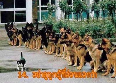 ขำๆ