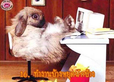 อารมณ์ดี ชีวีเป็นสุขครับ