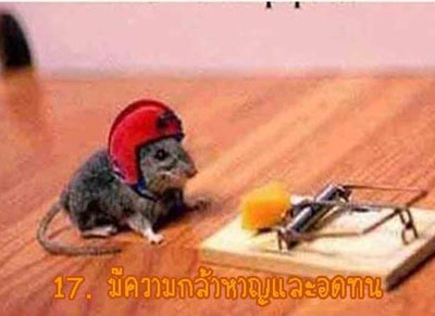 อารมณ์ดี ชีวีเป็นสุขครับ