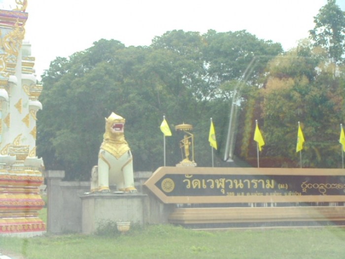 วันนี้ไปทำบุญ เลี้ยงข้าวน้องหมา ที่ลำปาง ( เพิ่มรูป+คลิปสไลเดอร์ แล้ว )