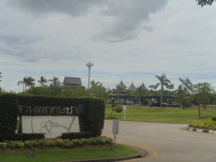 วันนี้ไปทำบุญ เลี้ยงข้าวน้องหมา ที่ลำปาง ( เพิ่มรูป+คลิปสไลเดอร์ แล้ว )