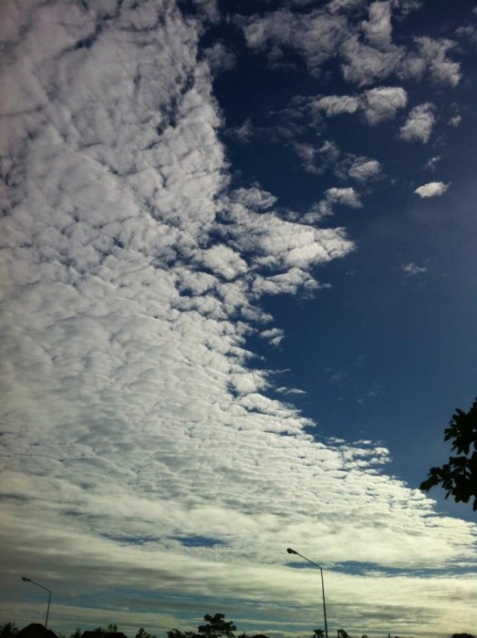 วันนี้ไปทำบุญ เลี้ยงข้าวน้องหมา ที่ลำปาง ( เพิ่มรูป+คลิปสไลเดอร์ แล้ว )