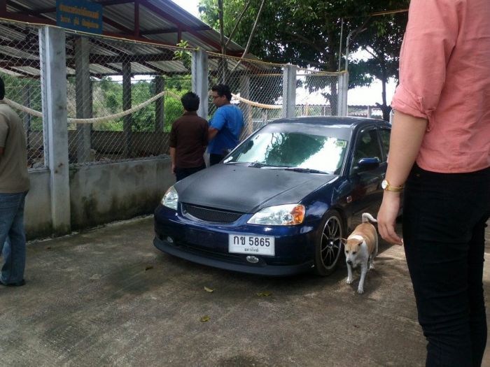 วันนี้ไปทำบุญ เลี้ยงข้าวน้องหมา ที่ลำปาง ( เพิ่มรูป+คลิปสไลเดอร์ แล้ว )
