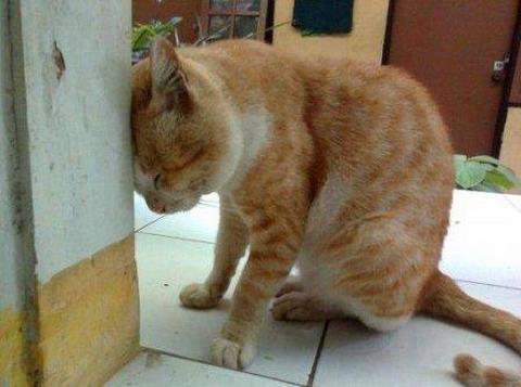 สงบนิ่ง1นาที T_T