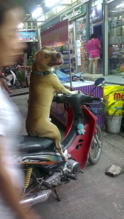 ไม่เจ็งหลบหน่อยครับ