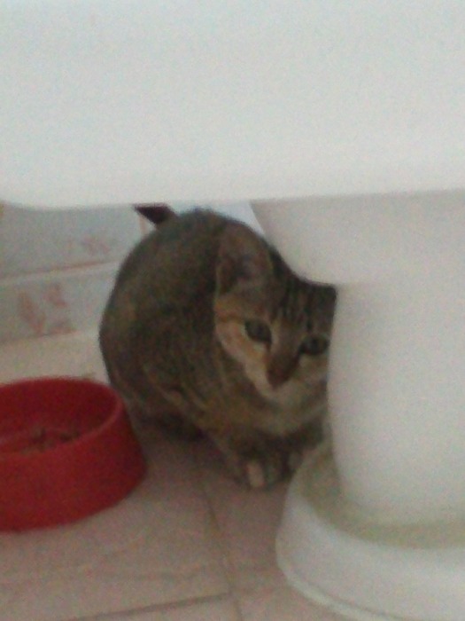 ใข่คับ มันอยู่ในห้องน้ำ