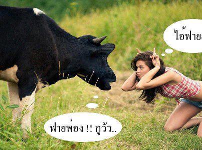จำไว้ ตูวัว....ไม่ใช่ฟาย....เค่าใจ๋..