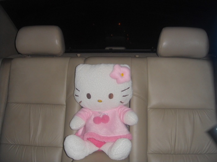 แค่ตุ๊กตา หมาตัวเดียว ทำไมจะไว้ในรถไม่ได้