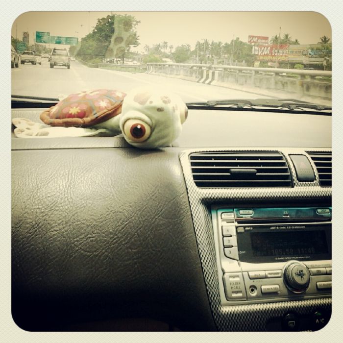 แอบพกตุ๊กตาน้องเต่า ไว้หน้ารถ เช่นกัน