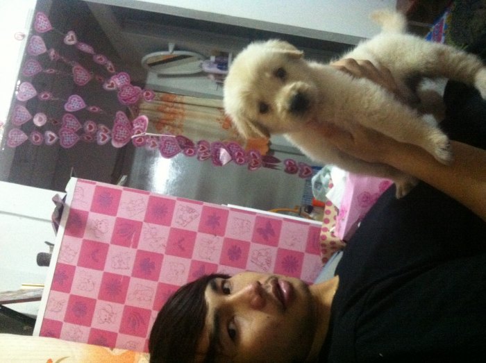 ลูกชายตัวใหม่่