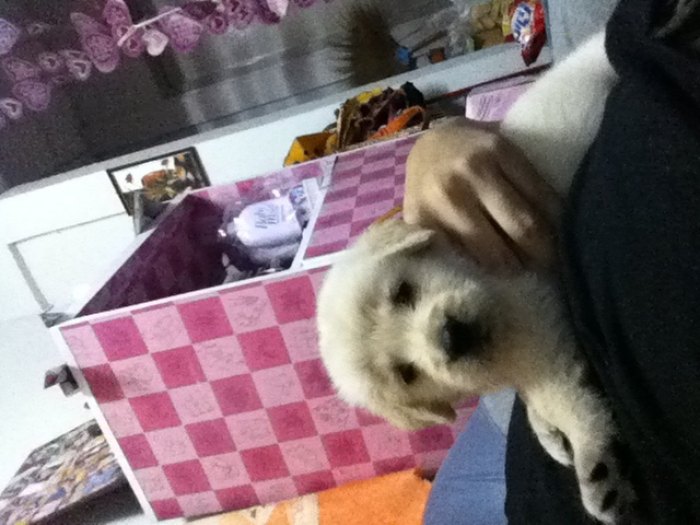 น่ารักใหม