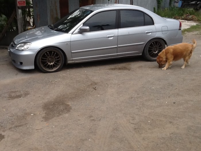 ขายแม็กre30 คับ. หรือไครมีแม็กเดิม ของcivic มาแลกกันเพิ่มส่วนต่างนิดหน่อยคับ.0863844722 แจ๊คคับ