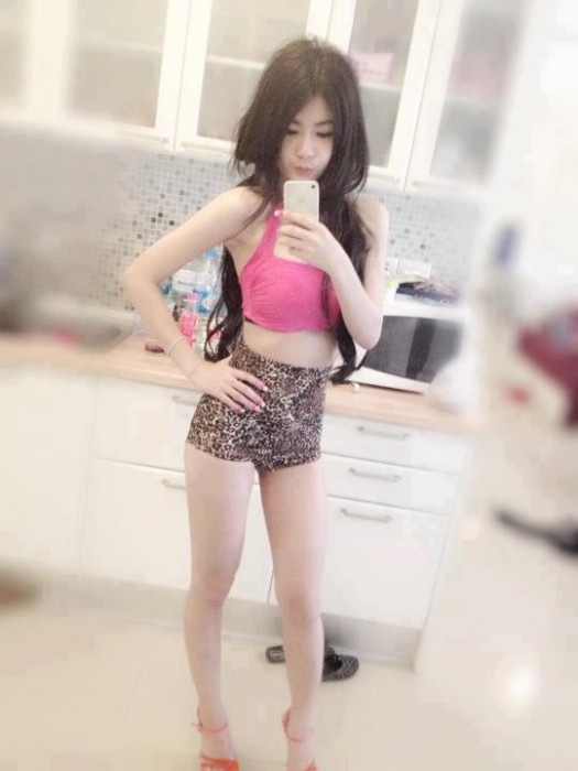 สมาคมเอวลอย