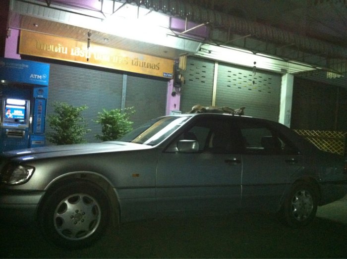 ES เรานอนสบายสู้ Benz ได้หรือเปล่านะช่วยดูหน่อยดิ