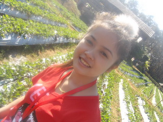 จัดทริป เที่ยวเหนือให้ทีครับ