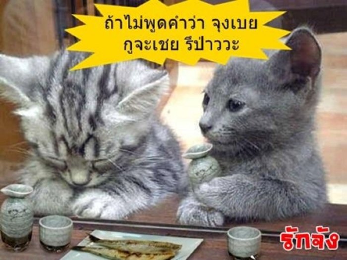 es ชลบุรีพบกันงานมีตติ้งประจำเดือน วันที่ 6 กันยา ณ สนาม BFC บางแสน เวลา 17.00 เป็นต้นไป