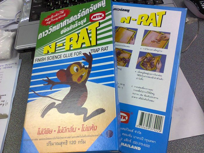 หนูอยู่ในรถครับ.