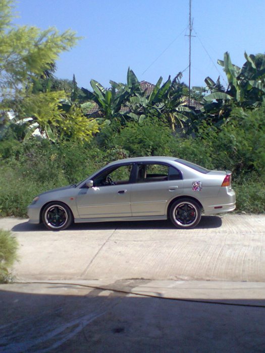 03 สีทองคัพ