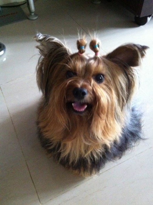 ...ลูกชายคร๊าบ
