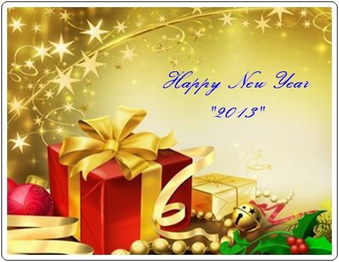 HAPPY NEW YEAR 2013