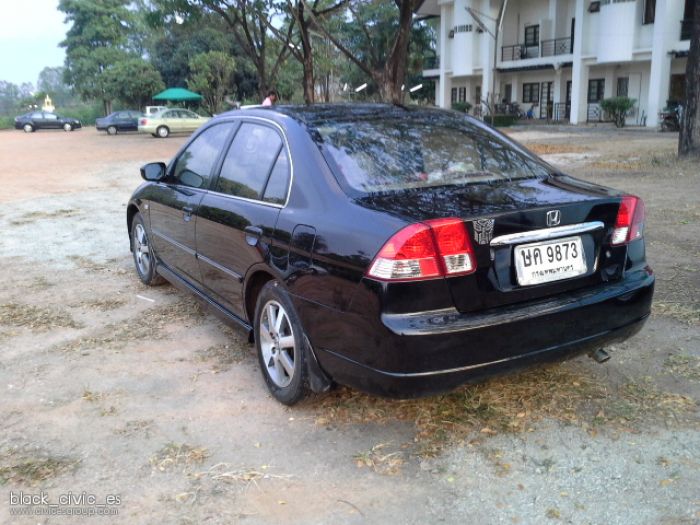 ด้านหลัง