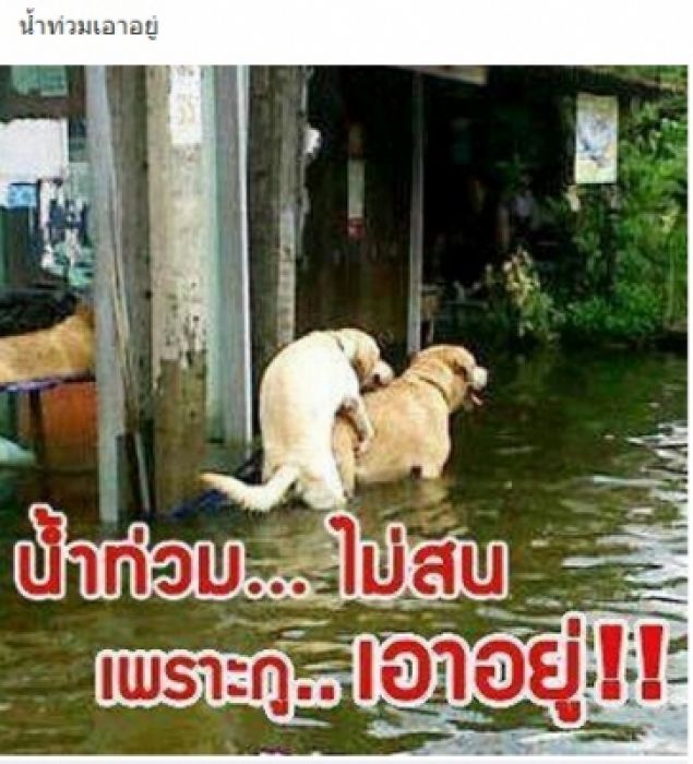 แก้เครียดกันช่วงบ่ายครับ
