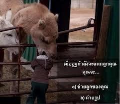 อูฐแดกหัวลูกกรูแล้ว 5555+