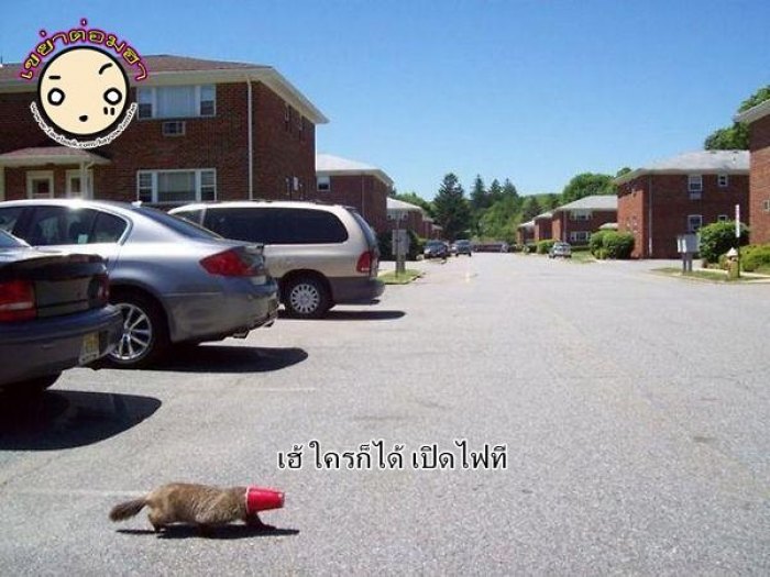 อมยิ้มกันหน่อยครับ ^^