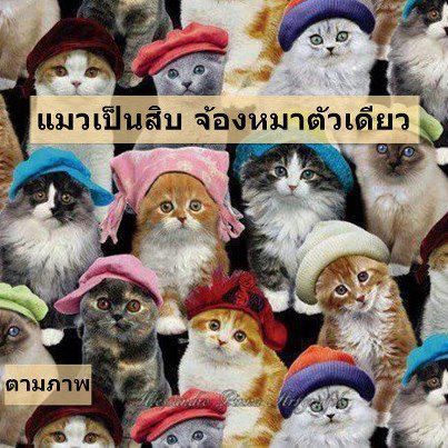 !!!! พวกท่านพลาดซะแล้ว !!!!
