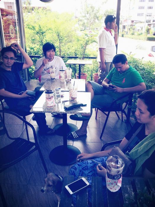 6 คน 1 ตัว