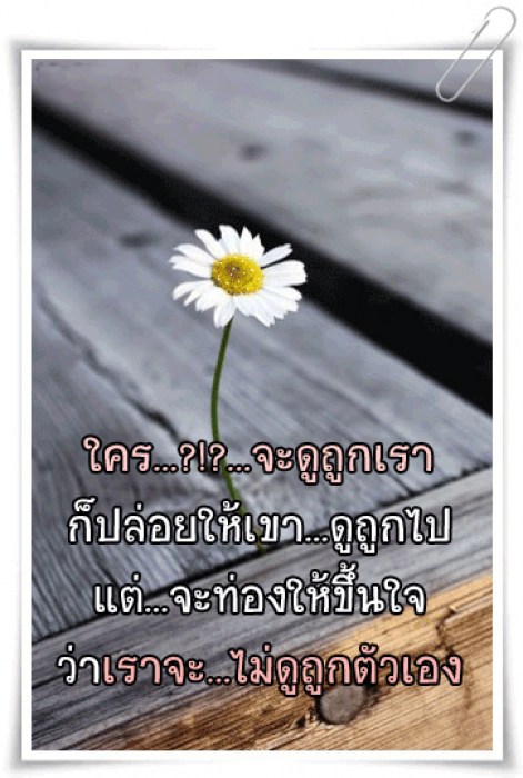 ข้อคิดดีๆจากแบงค์1,000