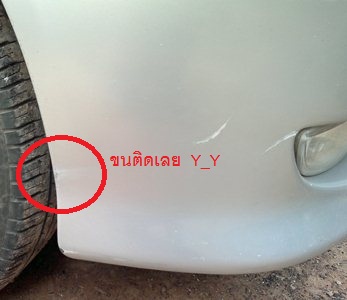 ขออโหสิกรรม..จากสุนัข