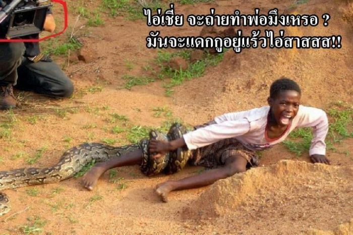 ตายกุตาย..