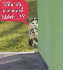 มาคุยกันหน่อยค่ะ ...ว่าด้วยเรื่อง การเสียดสี เหน็บแนม .....ล้อเลียน ..เหยียดหยาม เลิกได้ไหม ?