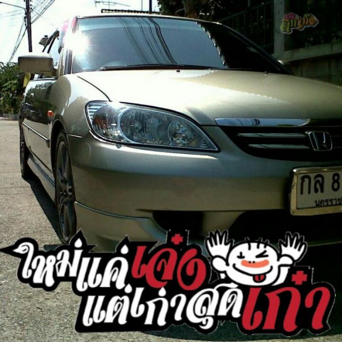 ตามกระแส ติ๊กเก้อ