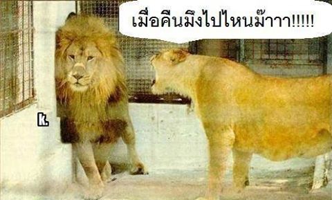 เวลาอยู่..สอง..ต่อ..สอง..แล้วอยู่ข้างบนหรือข้างล่าง