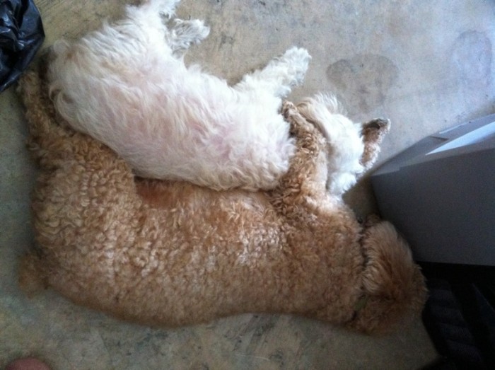 จังหวะนัวหญิง >.<