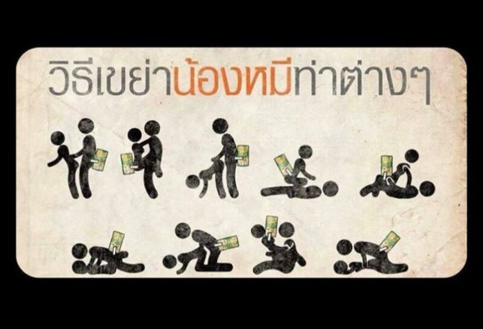 เผยเคล็ดลับ การเขย่าหมี (กระแสแรง)