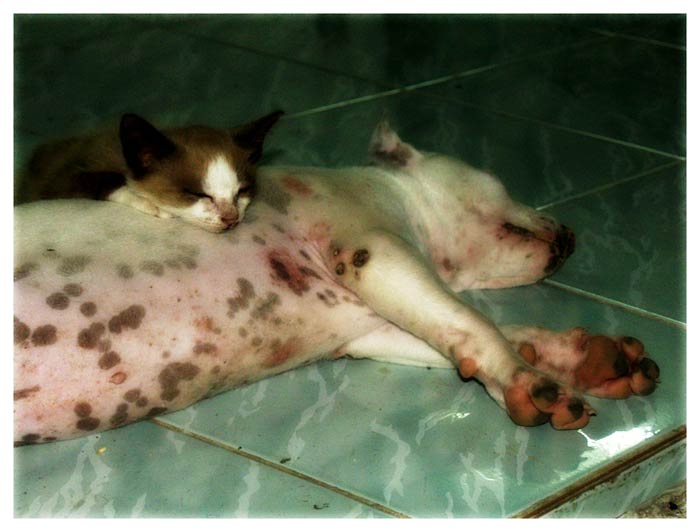..Circle Of Life..
