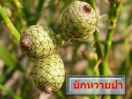 ผลไม้ไฮโซ
