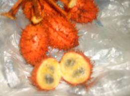 บักคายเค้า