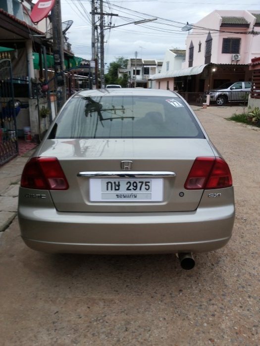 ด้านหลัง