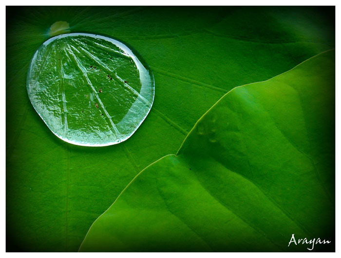 โอลิมปัส XZ-1