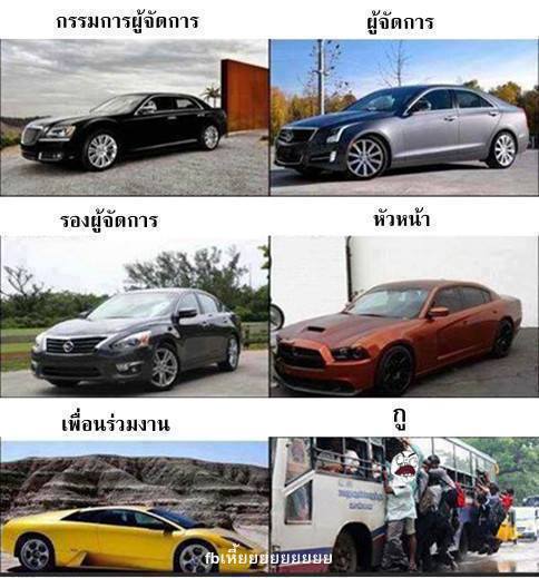 นี่ละชีวิต