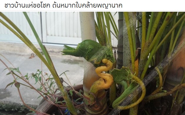 16/10/2556 ใครมีทีเด็ดครับแชร์กันหน่อยครับ
