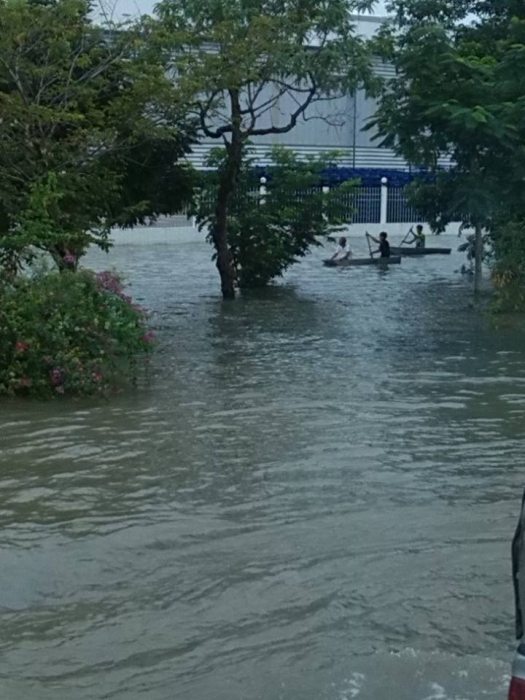 พายเรือก็มี