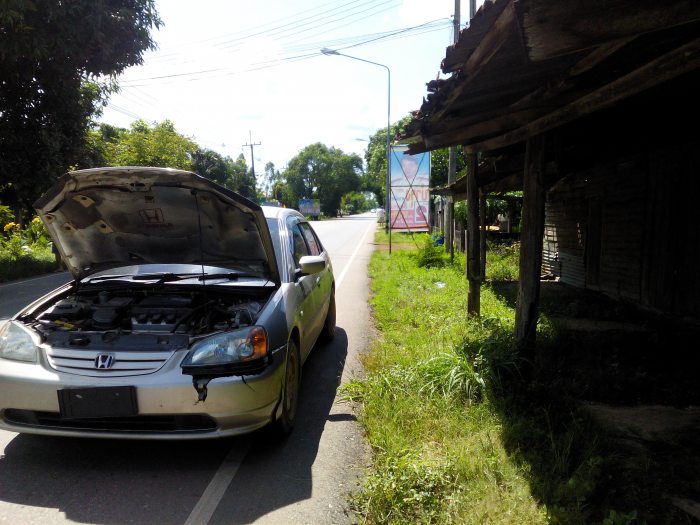 ขับรถ แล้วมีสุนัขวิ่งตัดหน้ารถ สามารถเรียกค่าเสียหายจากเจ้าของสุนัขได้หรือไม่