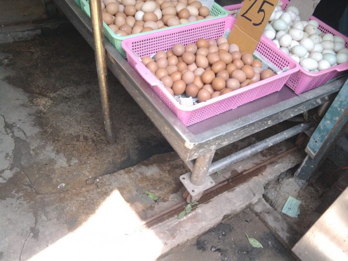 >>> อ่านแล้วขึ้น ไม่รู้มันเอาสมองส่วนไหนคิด <<<