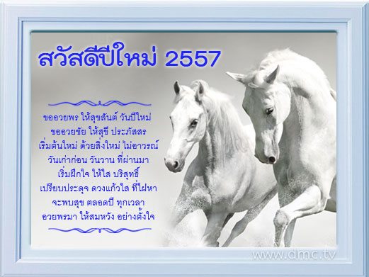 ขาย แผ่นแดมป์