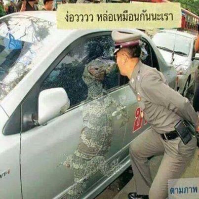 ดูเค้าทำ...สิ